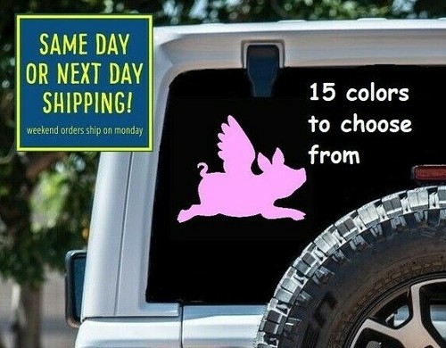 Sizes flying pig car - 8, window