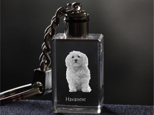 Bichon havanais porte clés - bichon, havanais,