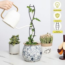 Plante d'intérieur Treillis