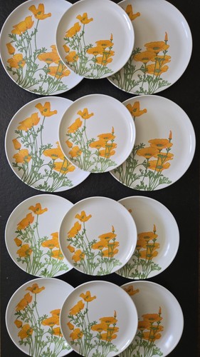 X12 pièce assiette - pièce,