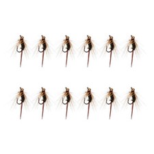 1 douzaine prince nymphe perle