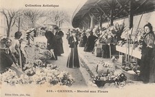 Cannes marché aux fleurs - marché, fleurs-