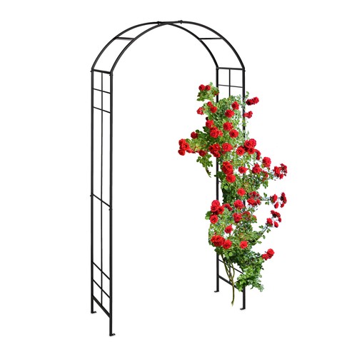 Arche rosier pergola - à,
