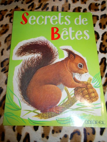 Jabet mattoni secrets de - jabet, /