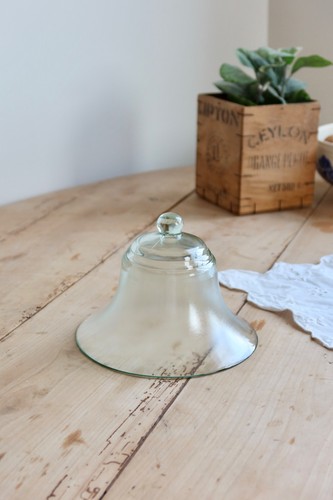Cloche jardin ancienne en - de,