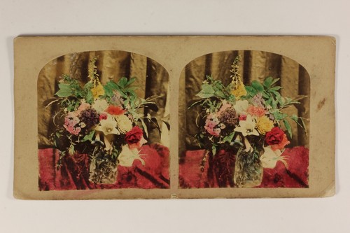 Nature morte fleurs artistique - morte,