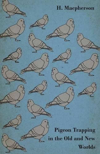 pigeon trap