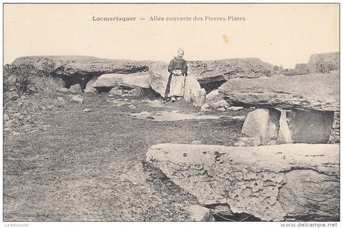 Locmariaquer allee - 56,