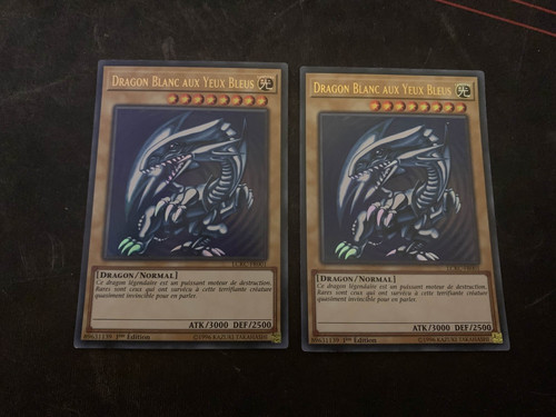 Carte dragon blanc - gi,