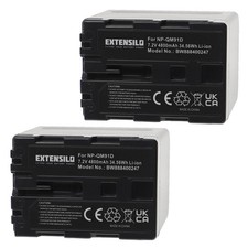 2 Batteries pour Sony