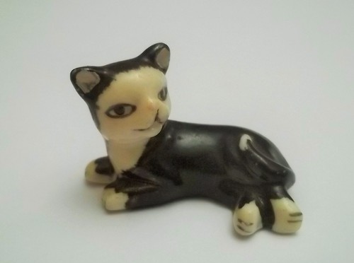 Chat miniature - miniature, en