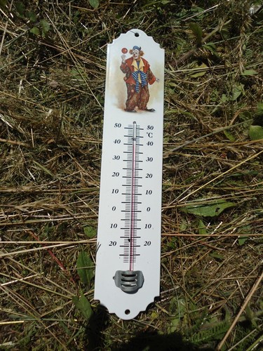 Enamel thermometer 30cm clown