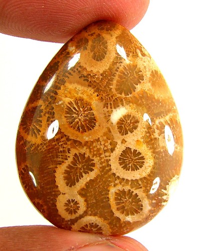 Cabochon pierre corail - pierre, en