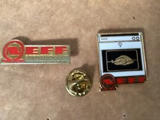 pins NEFF arthus  Bertrand egf