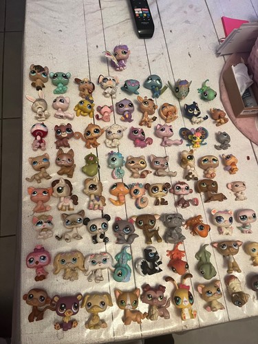 Pet shop lot - pet,