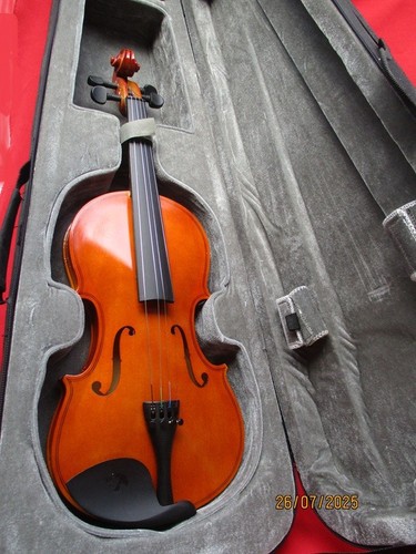Violon dans son étui en - son,