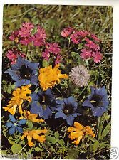 La flore alpine  .......   (Ref. H1983)