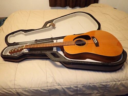 Rare 2004 seagull m6 - 2004,