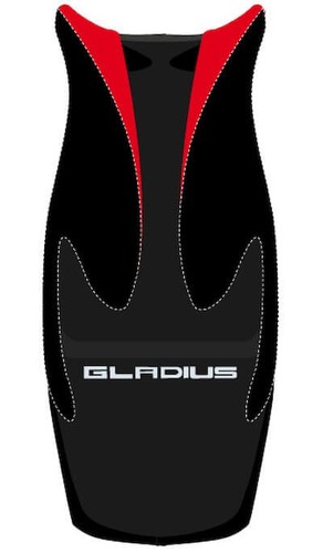 Suzuki svf 650 gladius 16 - svf, gladius-