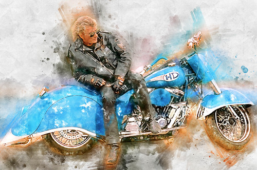 Johnny hallyday moto toile - johnny,