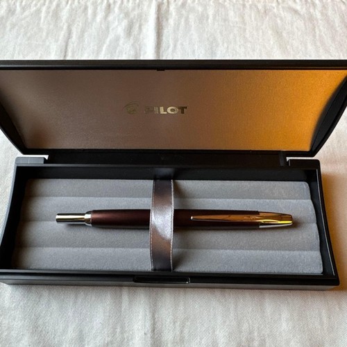 Stylo plume pilot 2019 - plume,