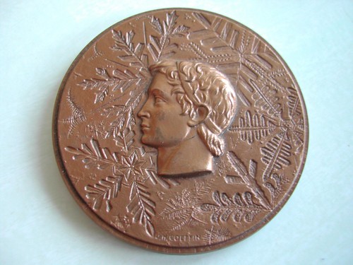 Médaille participant jeux - br.,