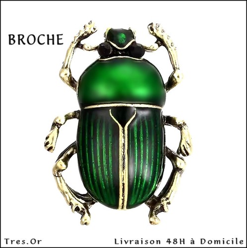 Broche scarabée porte - broche, porte-bonheur