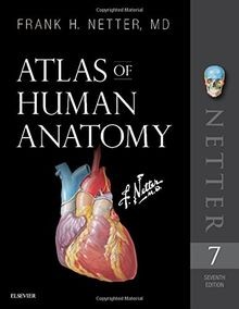 Atlas human anatomy netter - atlas, of