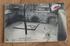 carte postale CP INONDATIONS PARIS CRUE SEINE 1910 FOSSE AUX OURS JARDIN PLANTES