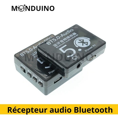 Mini récepteur audio
