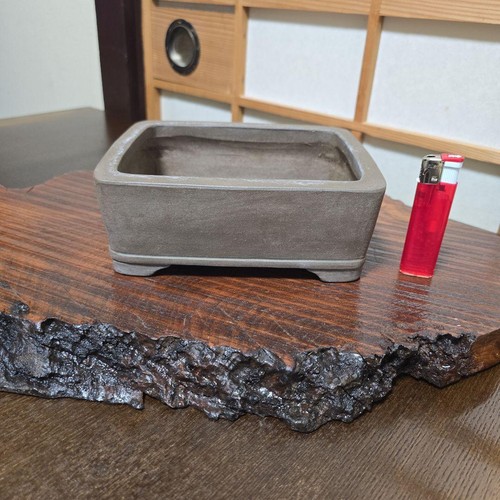 Pot rectangulaire pour bonsaï - pour,