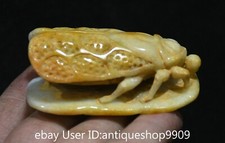 2.2 "Chine jade sculpté Feng