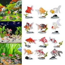 6 pièces de poissons