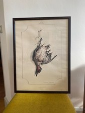 Edouard Traviès Lithographie encadrée