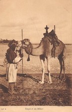 CPA ALGERIE TARGUI ET SON