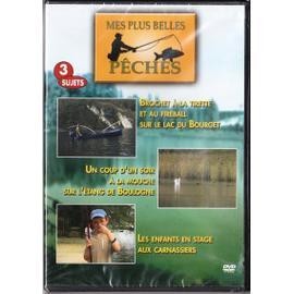 Dvd mes plus belles - dvd,