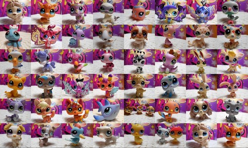 Petshop pet shop - petshop, lps