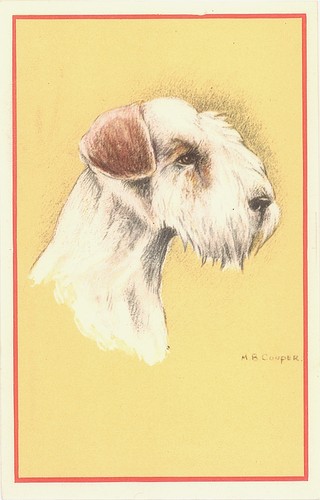 Cpa fox terrier chien par - -,