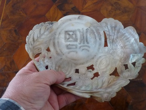Superbe coquillage ancien - superbe, en