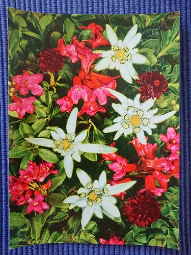 Ancienne carte postale - postale, ak