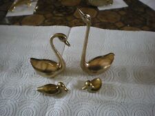 ensemble de cygnes et canards