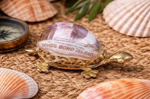 Tortue souvenir james - tortue,