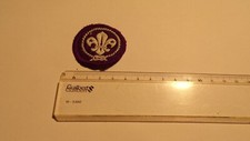 INSIGNE TISSUS - Scouts -