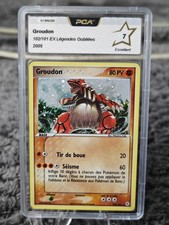 Carte Pokémon Groudon 102/101