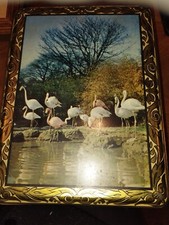 Ancienne XXème  grande boite