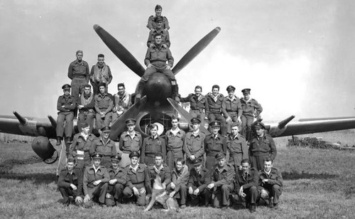 Ww2 pilote typhoon - pilote, raf