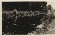 CPA COULON Le Marais Poitevin - La Sevre Niortaise (1141100)