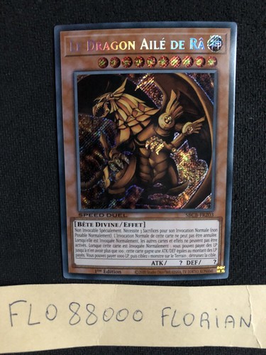 Yugioh dragon ailé - le,