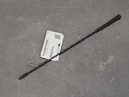 Brin antenne analogique - ,