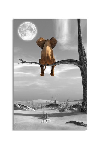 Images sur toile 60 cm - images, 80